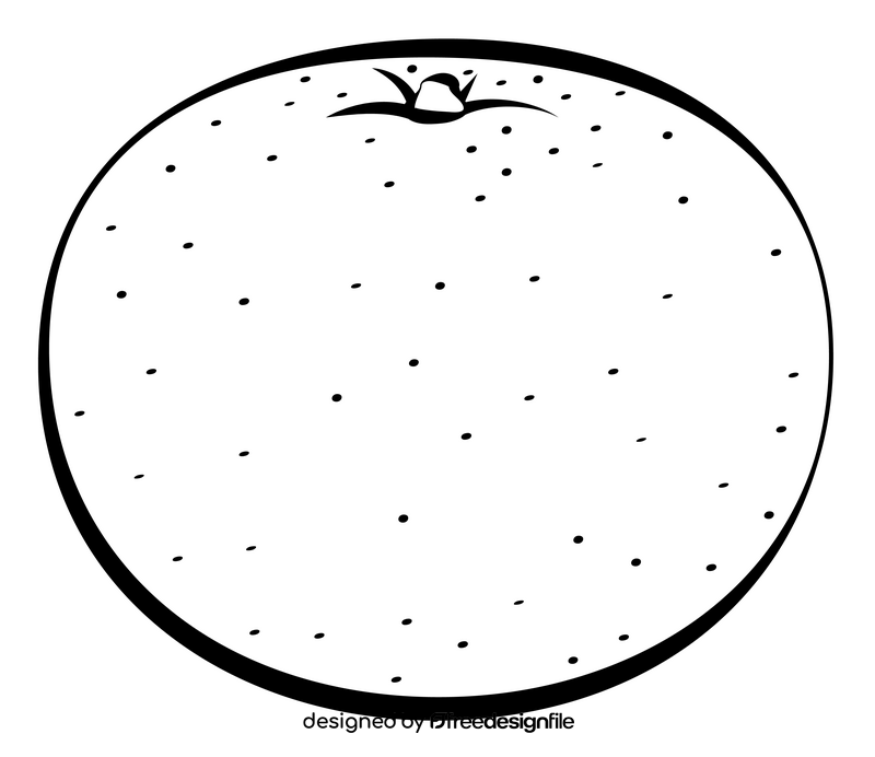 Orange fruit drawing black and white clipart