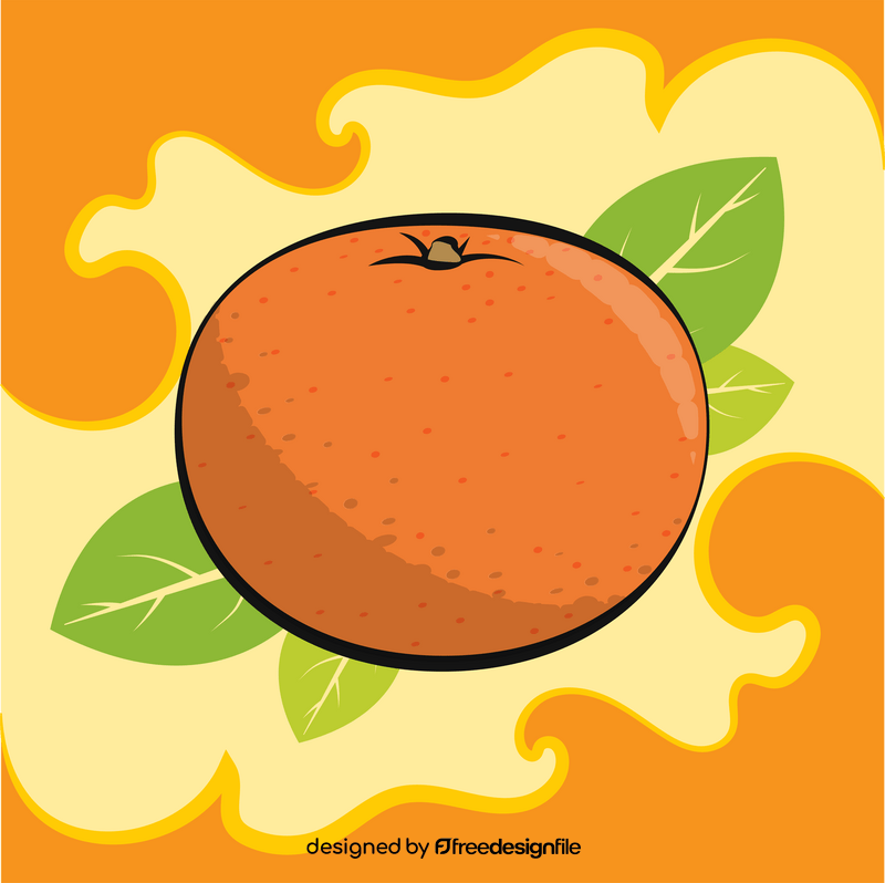 Orange fruit drawing vector