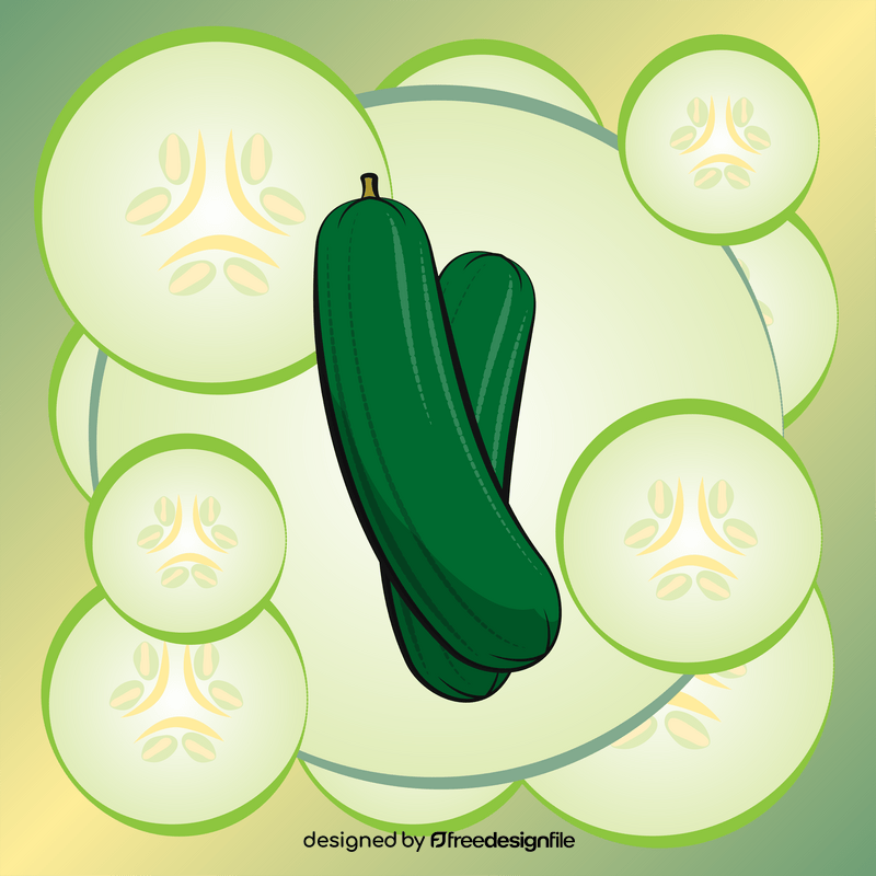 Cucumber vegetable vector