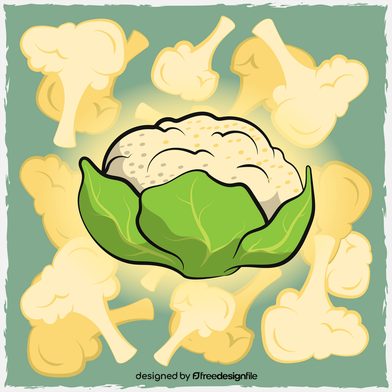 Cauliflower vegetable background vector