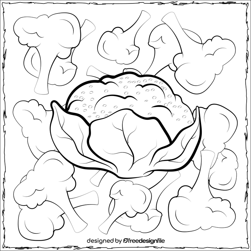 Cauliflower vegetable black and white vector