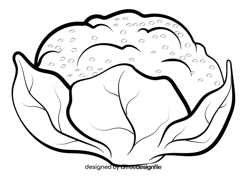 Cauliflower vegetable drawing black and white clipart