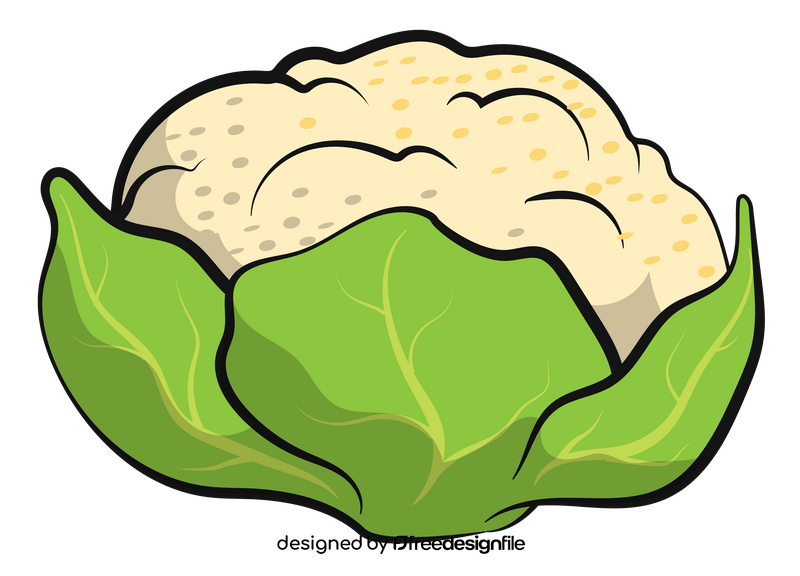 Cauliflower vegetable drawing clipart