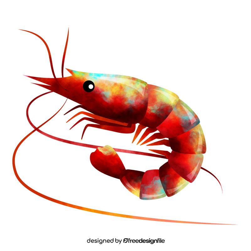 Prawn clipart