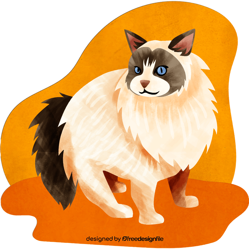 Ragdoll cat vector