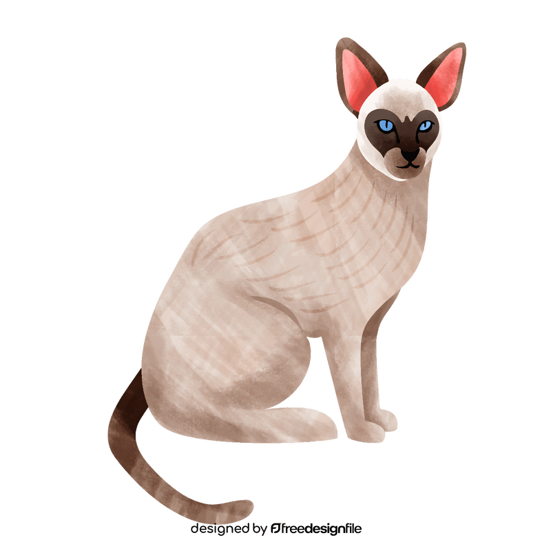 Siamese cat clipart