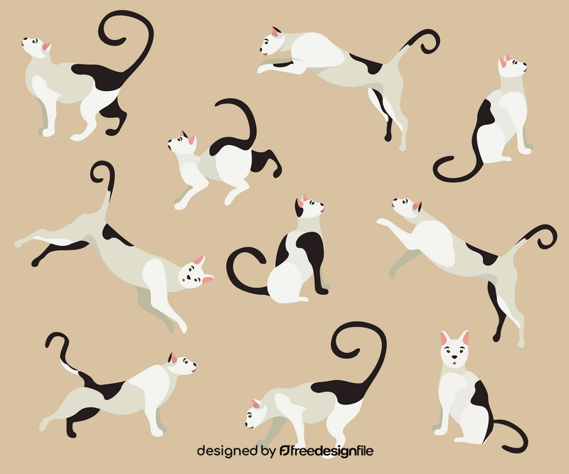 Black and white cats, bicolor cats vector