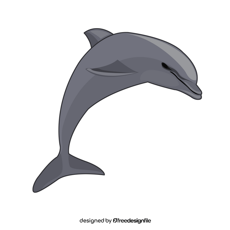 Dolphin clipart