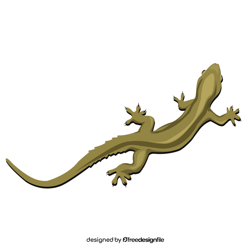 Lizard clipart