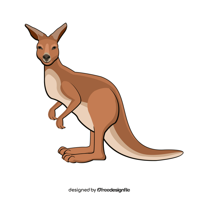 Kangaroo clipart