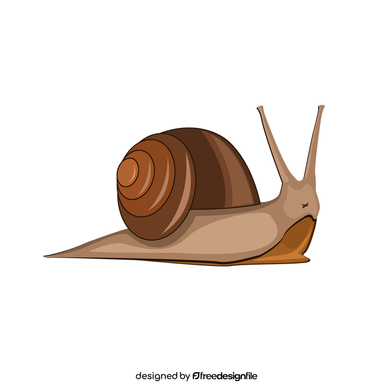 Snail clipart