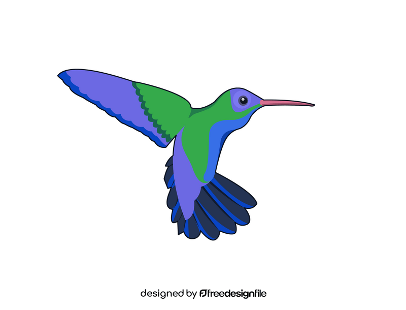 Hummingbird clipart