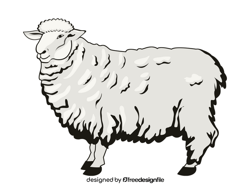 Sheep clipart