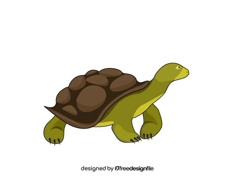 Turtle clipart