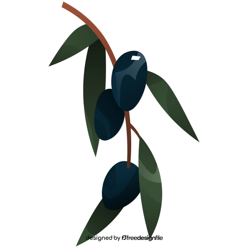 Olives branch clipart