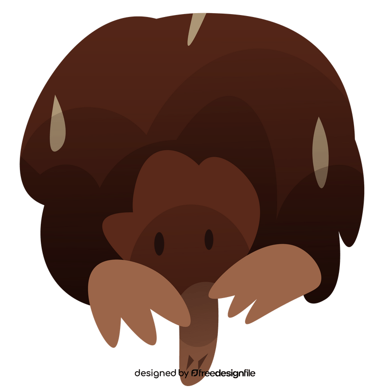 Echidna cartoon front view clipart