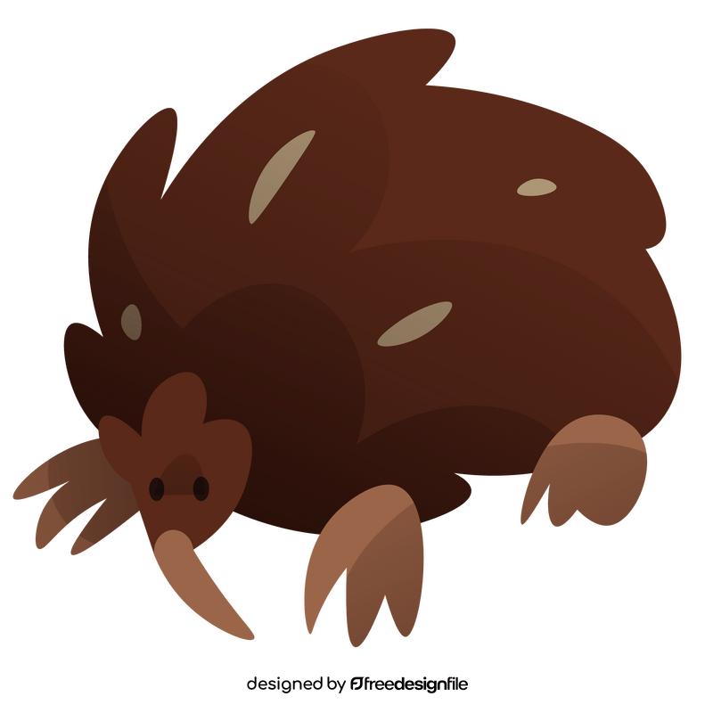 Echidna cartoon clipart