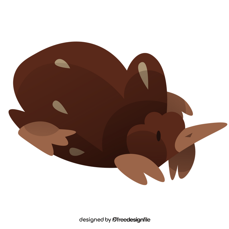 Echidna hedgedog clipart