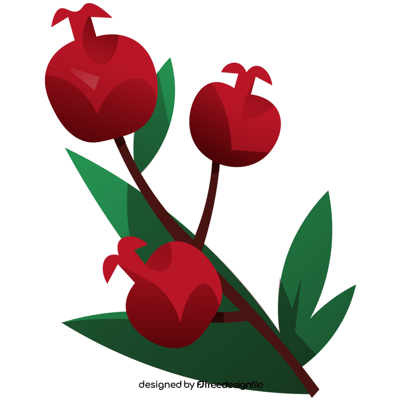 Pomegranate branch clipart