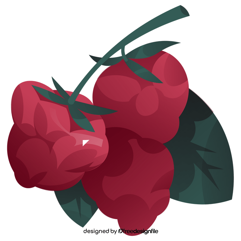 Raspberry branch clipart