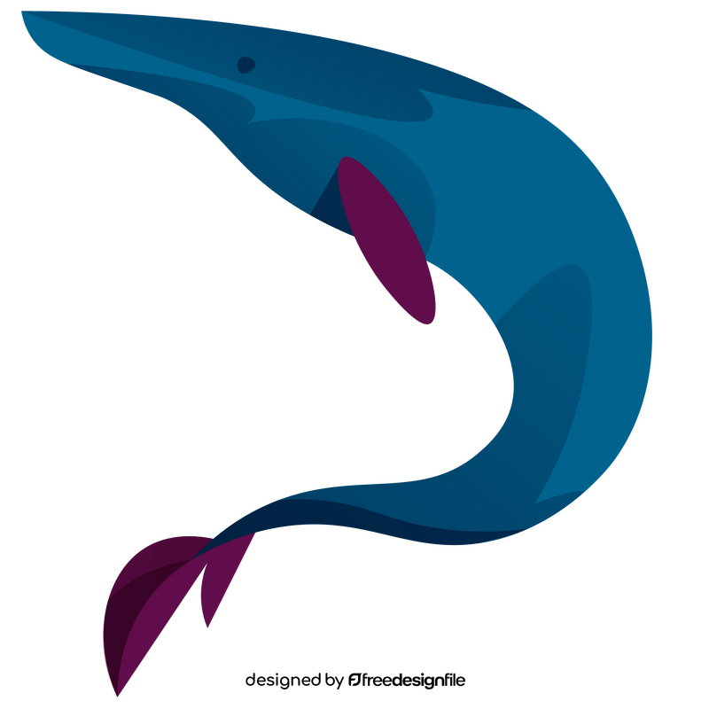 New Zealand whale clipart