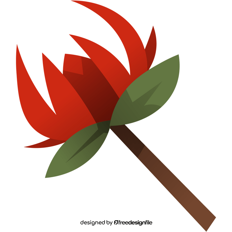 King Protea clipart