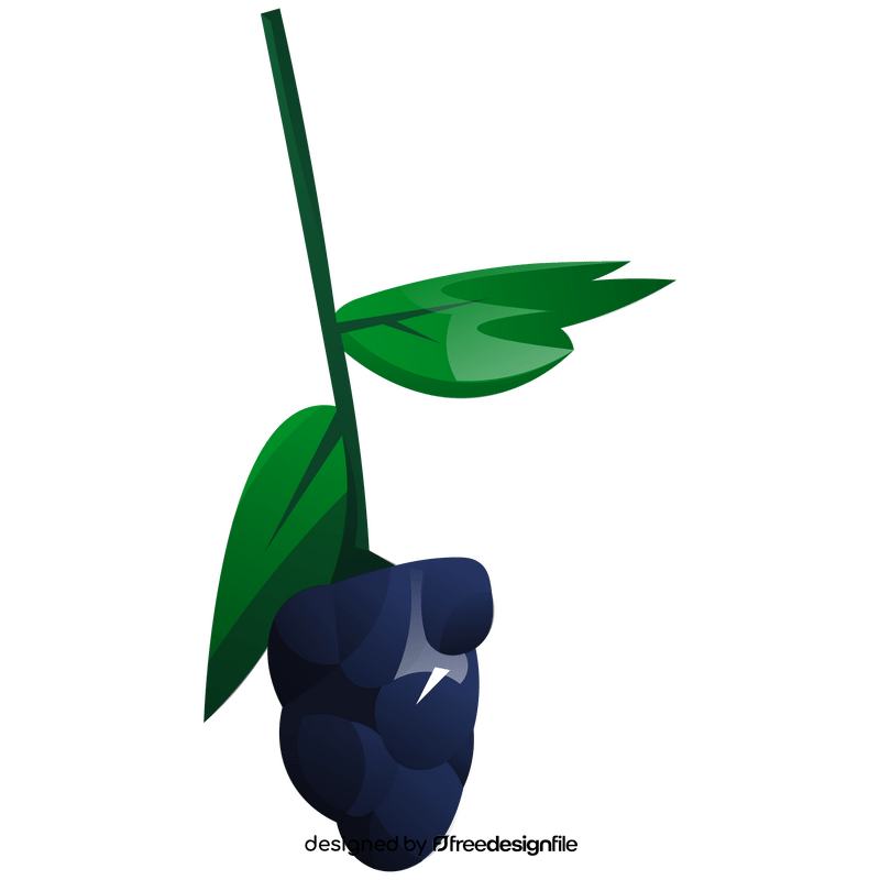 Blackberry branch clipart