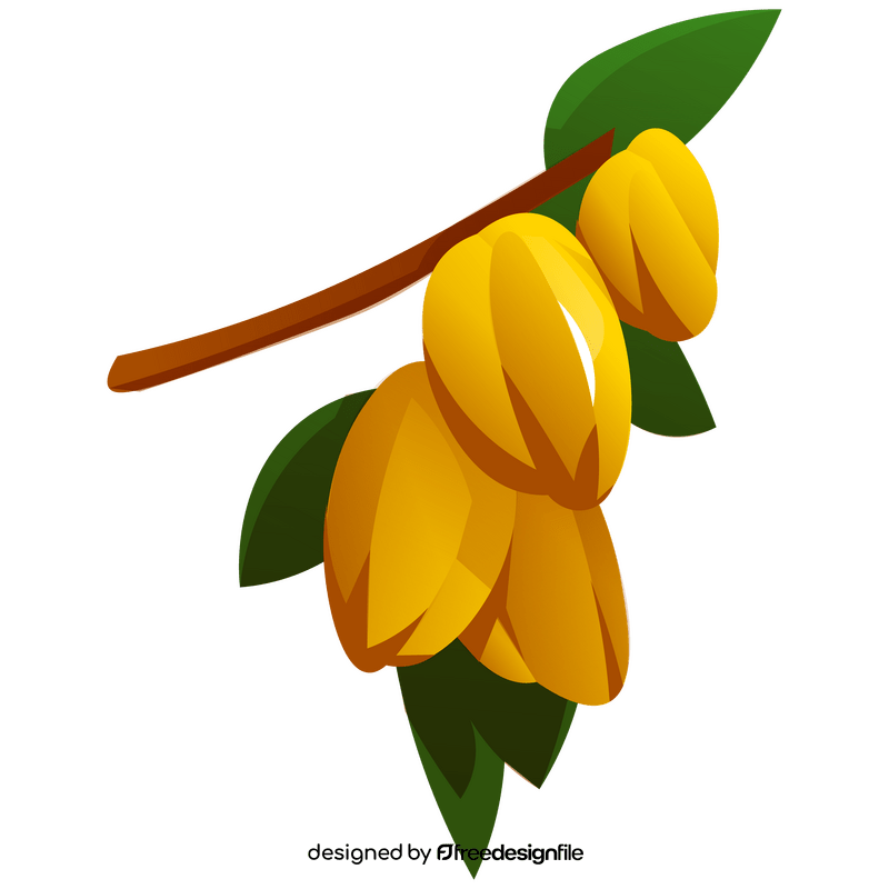 Carambola branch clipart