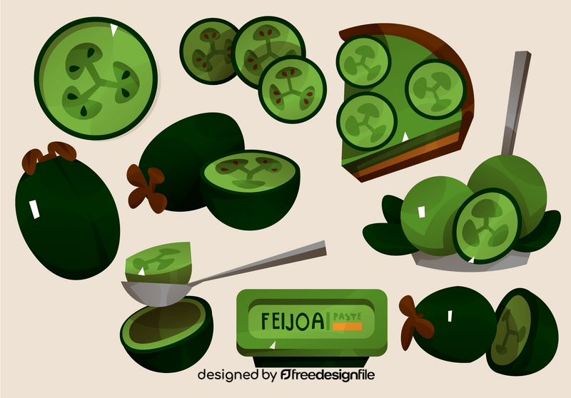 Set of feijoa vector