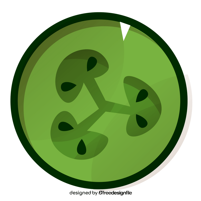 Feijoa fruit slice clipart