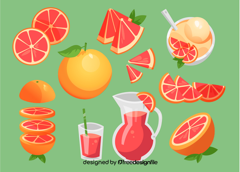 Grapefruit vector