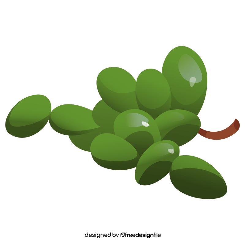 Grapes green clipart