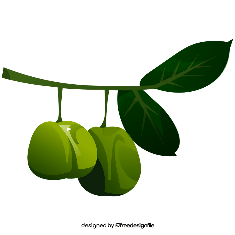 Guava branch clipart