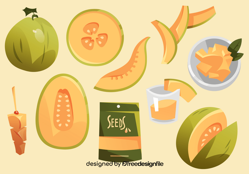 Melon vector