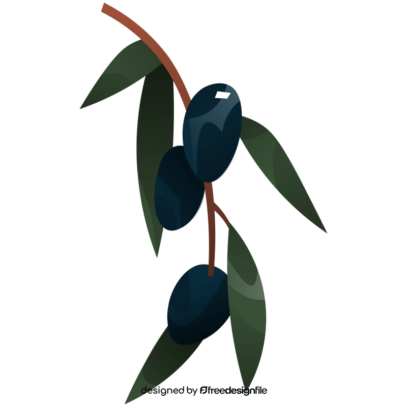 Olives branch clipart