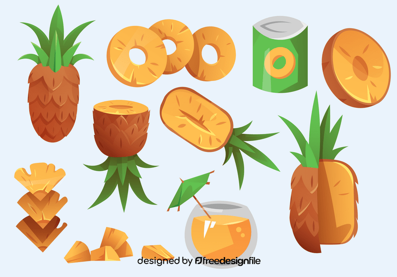 Pineapple vector