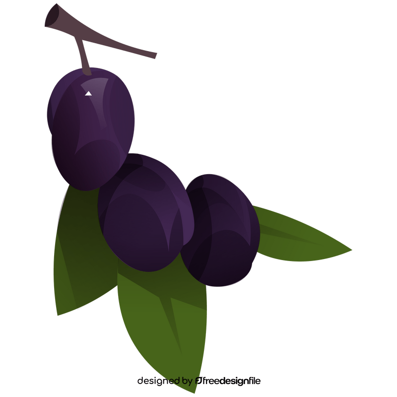 Plum branch clipart