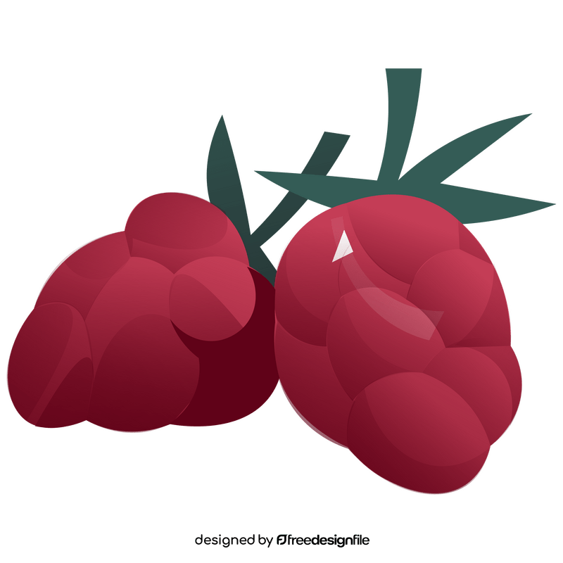 Raspberries fruit clipart