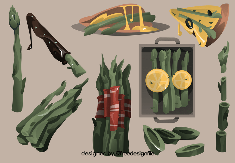 Asparagus vector