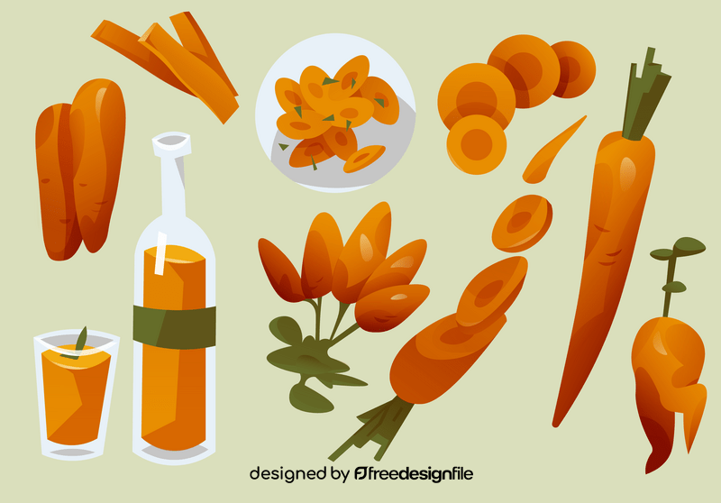 Carrot vector