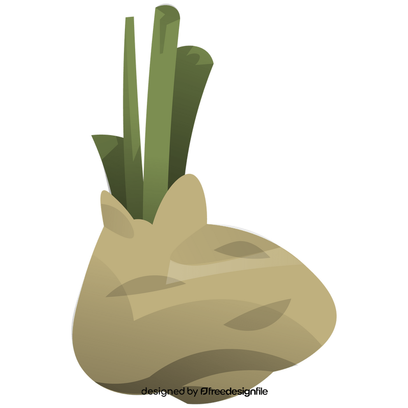 Celery root clipart