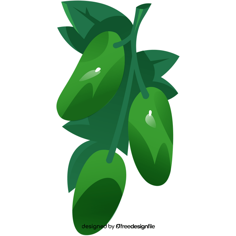 Cucumber plant clipart