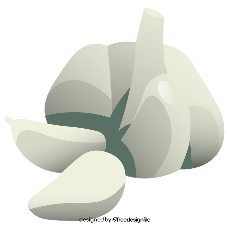 Garlic peeled clipart