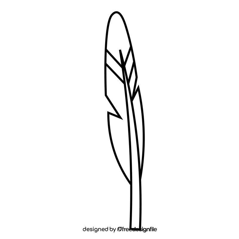 Feather illustration black and white clipart