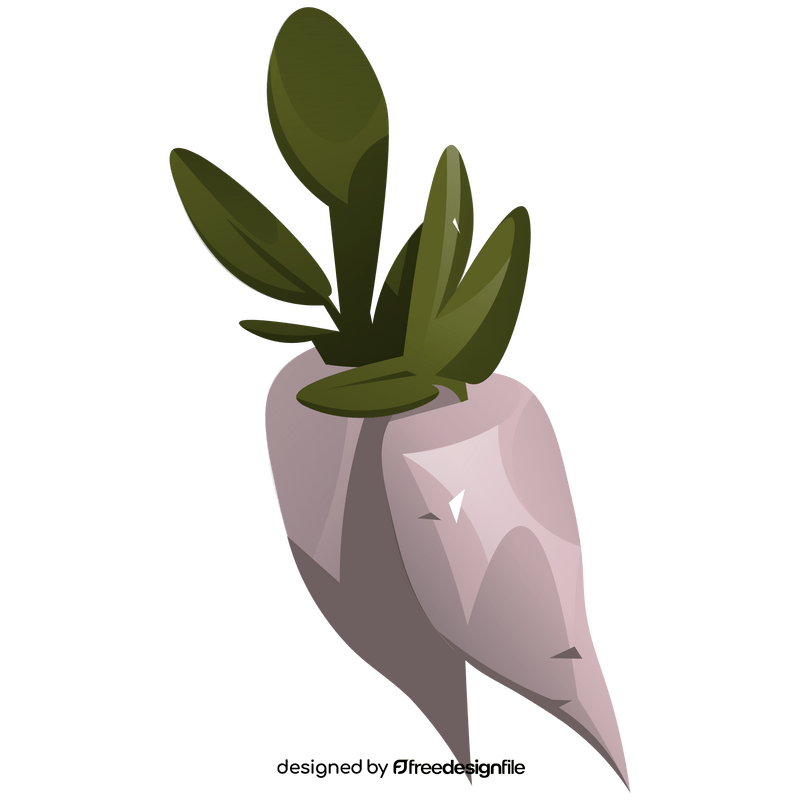 White radish clipart