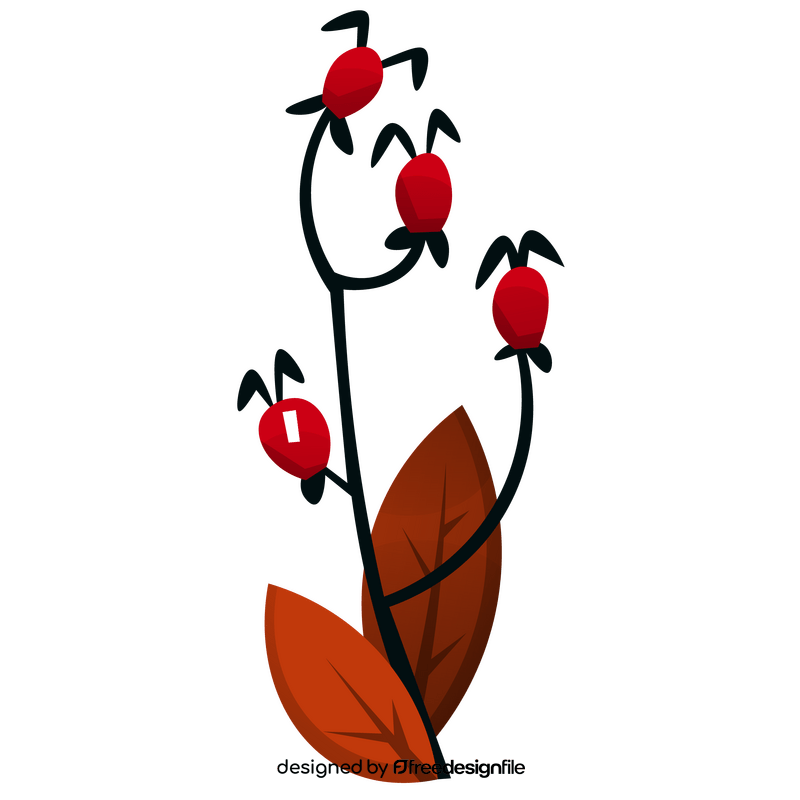 Free rosehip clipart
