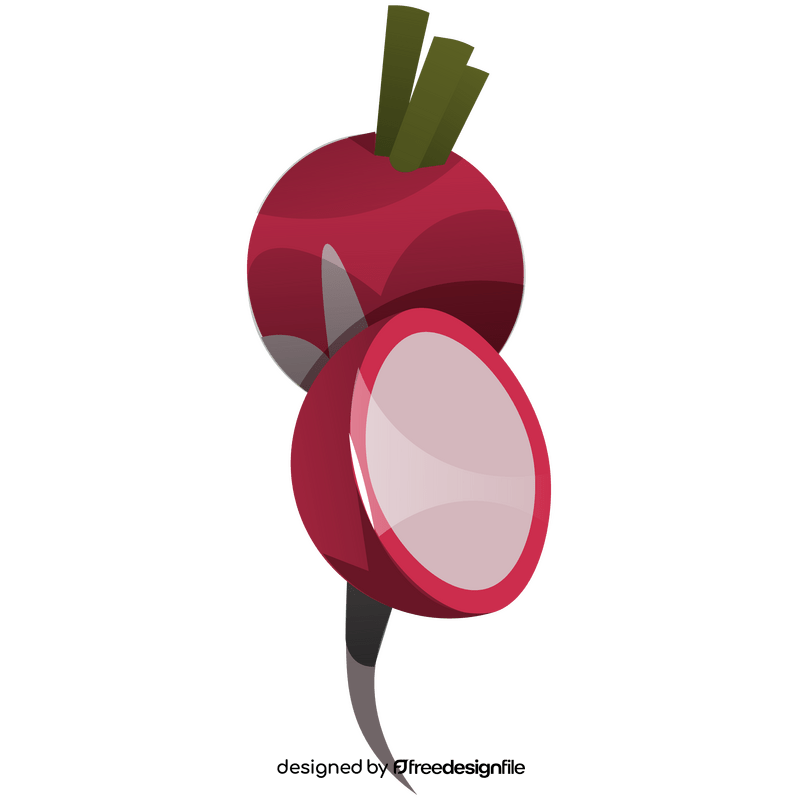 Radish vegetable clipart