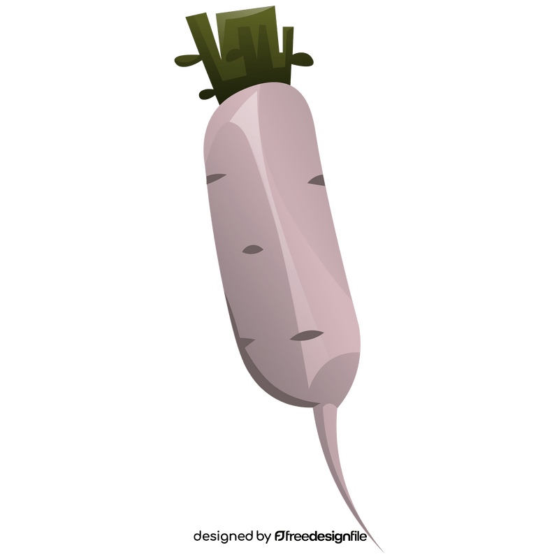 Radish white transparent clipart