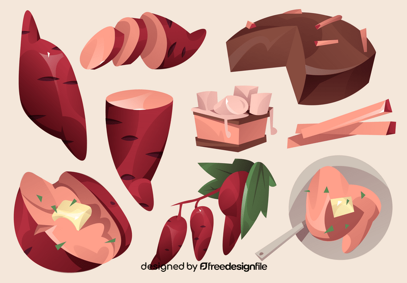 Sweet potato vector