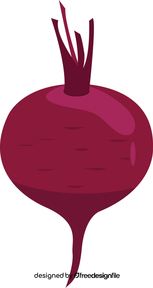 Beet clipart